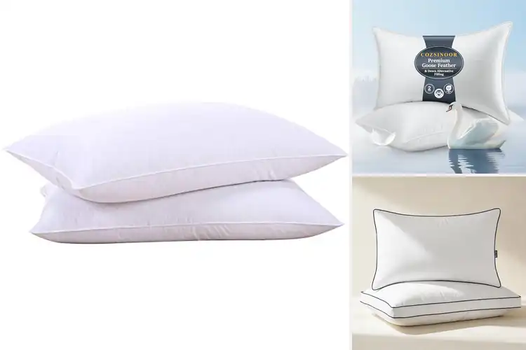 Detailed view of Best Goose Down Pillows