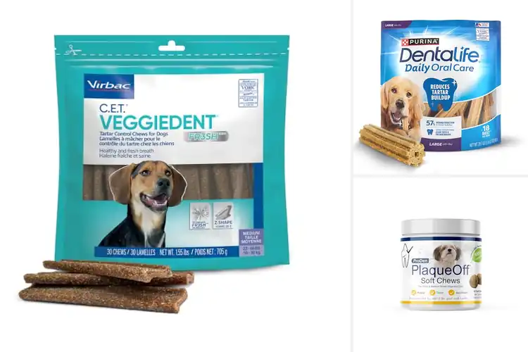 Detailed view of Best Gum Healthy Dog Chews
