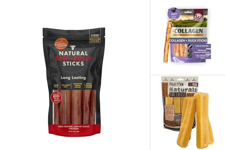 Detailed view of Best Long Lasting Dog Chews: Top Picks for Happy Dogs