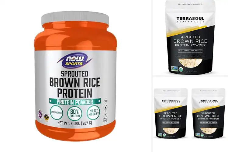 Detailed view of Best Sprouted Rice Protein Powders for Pure Daily Nutrition