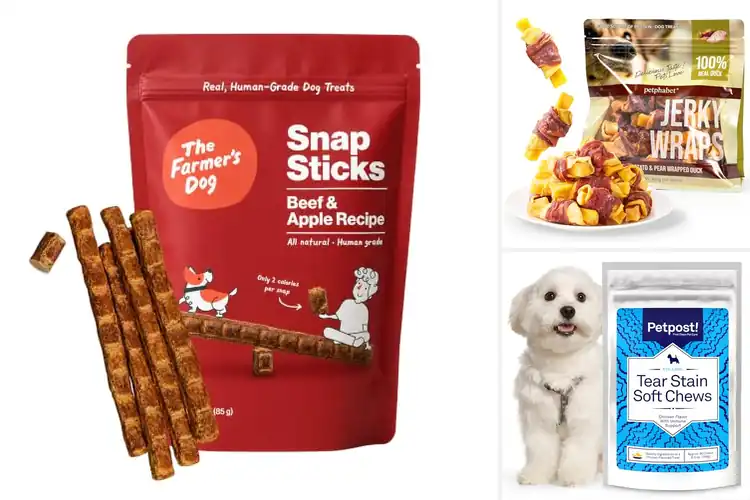 Detailed view of Best Stain Free Dog Treats for a Cleaner, Happier Pup