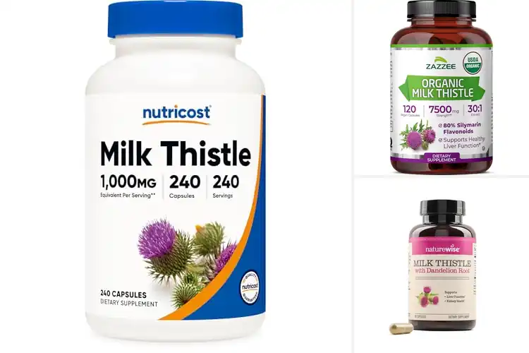 Detailed view of Best Vegan Milk Thistle Supplements