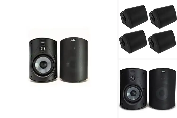 Detailed view of Best Wall Mount Speakers